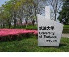 UNIVERSITY OF TSUKUBA